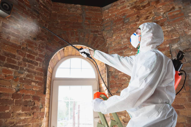 Why You Should Choose Our Mold Remediation Services in Savannah, TN